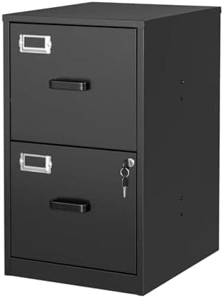 BYNSOE 2 Drawer File Cabinet with Lock Vertical Filing Storage Cabinet Office Home Steel Vertical File…