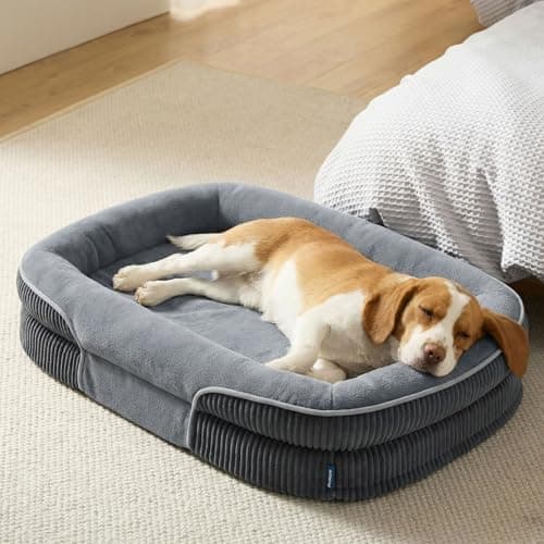 Bedsure Orthopedic Dog Beds Large Sized Dog - 360° Oval Bolster Large Dogs Bed for Senior Dogs with…