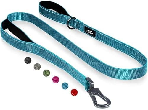 TwoEar 6FT 1IN Strong Blue Dog Leash with 2 Padded Handles, Traffic Handle Extra Control, Comfortable Soft Dual Handle, Auto Lock…