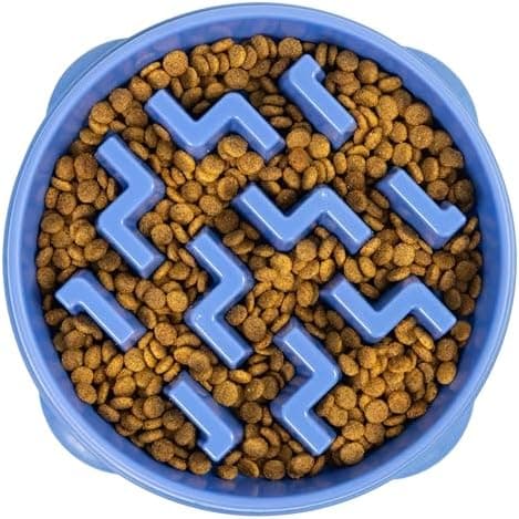 Outward Hound Fun Feeder Slo Bowl – Large 4‑Cup Capacity, Slow Feeding, Medium to Large Dogs, Non‑Slip, Blue…