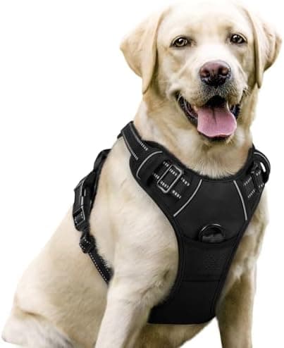 rabbitgoo Dog Harness No Pull with 2 Leash Clips, Adjustable Soft Padded, Reflective Oxford No Choke Pet Vest with Easy Control…