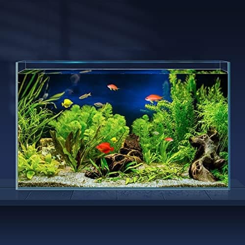 LAQUAL 10 Gallon Ultra Clear Glass Fish Tank, Rimless Low Iron Aquarium for Betta/Nano/Goldfish/Snail/Shrimp…
