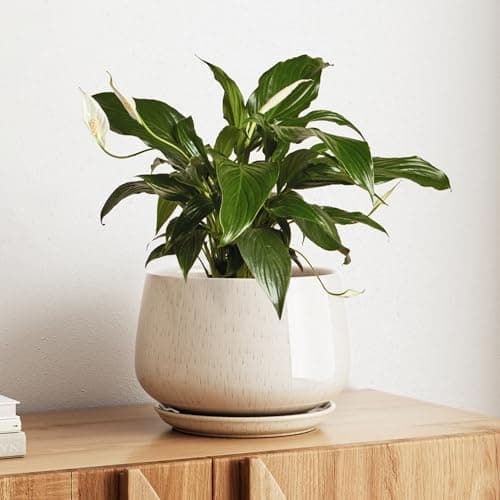 LE TAUCI Ceramic Planter, 10 Inch Plant Pot with Drainage Hole & Saucer – Durable Indoor Planter for Modern Home Decor, Reactive…