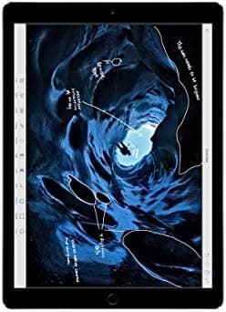 Apple iPad Pro 12.9in Tablet (256GB Wi-FI, Space Gray) (Renewed)
