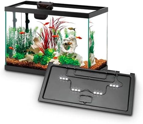 Aqueon Aquarium Starter Kit with Smart Clean Filtration and LED Lighting, Freshwater and Saltwater Fish, 20-Gallon