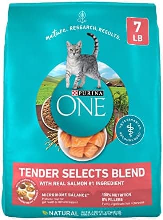 Purina ONE Natural Dry Cat Food, Tender Selects Blend With Real Salmon - 7 lb. Bag