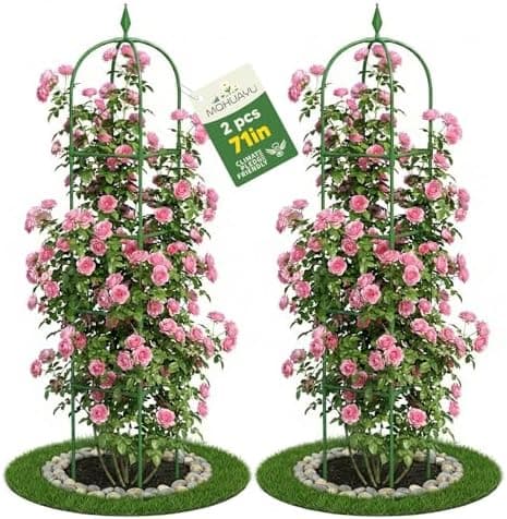 2 Pack Garden Obelisk Trellis for Climbing Plants, 6 FT Metal Rustproof Plant Support Rose Trellis, Tower Potted Cages for…