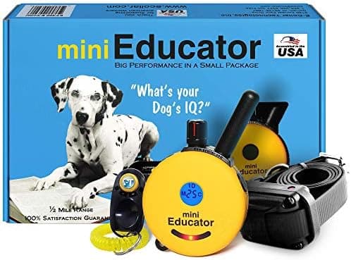 Educator ET-300 Mini E Collar for Dog Training with Remote - 1/2 Mile Range, Waterproof, 100 Blunt…