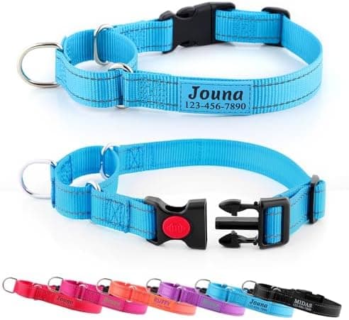 Personalized Martingale Collar for Dogs with Quick Release Buckle - Reflective Nylon Collar with Name and Phone Number for Small…