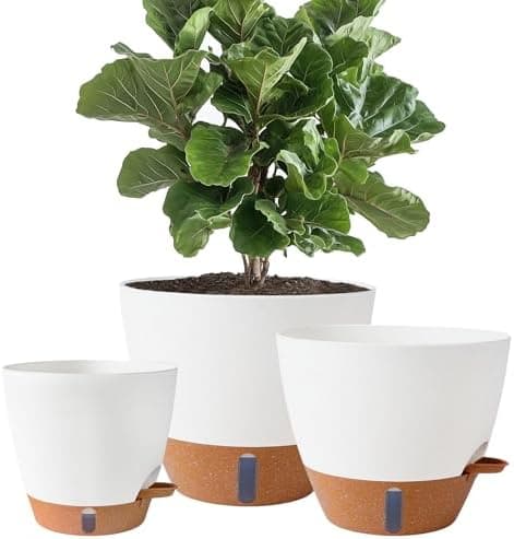 8/10/12 Inch Self Watering Pots for Indoor/Outdoor Plants - Large Plastic Planter with Drainage…
