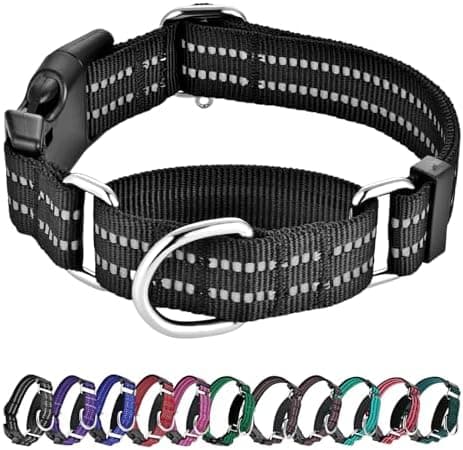 Hikiko Martingale Collar for Dogs Reflective Nylon Dog Collar with Quick Release Buckle Adjustable Training No Slip Dog Collars…