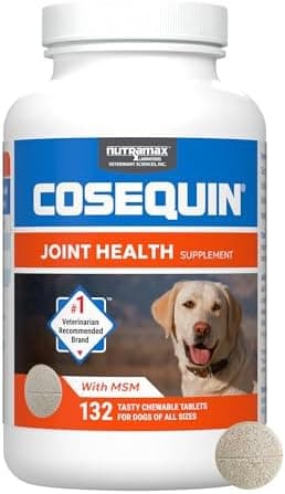 Nutramax Cosequin for Dogs Joint Health Supplement, Contains Glucosamine for Dogs, Plus Chondroitin and MSM, Supports Healthy…