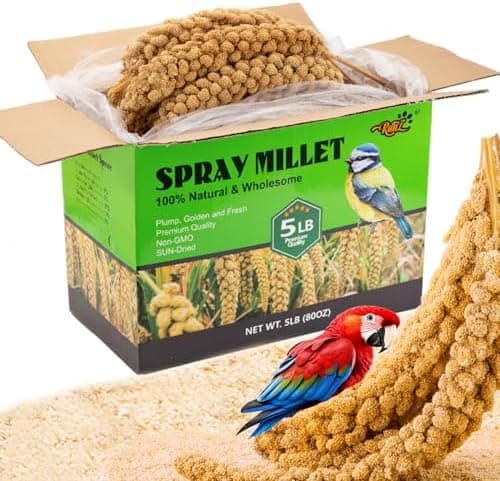 RANZ 5LBS Spray Millet Treat for Pet Birds, Hand-Harvested Bird Snack, Natural Sun-Dried Millet Spray for Parakeets, Parrots…