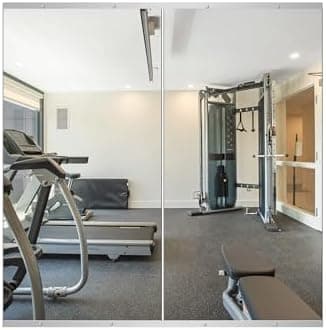 Delma Home Gym Mirror,48''x24''x2PCS Silver,Large Full Body Tempered Glass Frameless, Wall-Mounted for Gym…