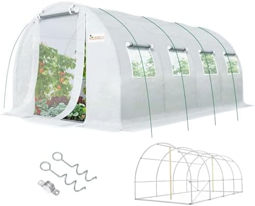 KING BIRD Premium 20x10x6.6FT Greenhouse for Outdoors, Large Walk-in Upgraded Galvanized Metal Frame, Mesh Door Screen Window…
