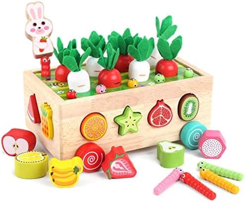 Toddlers Montessori Wooden Educational Toys for Baby Boys Girls Age 1 2 3 Year Old, Shape Sorting Toys 1st One First Birthday…