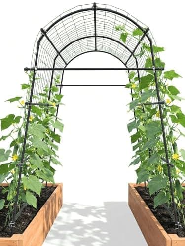 7ft Garden Arch Trellis for Climbing Plants Outdoor-Heavy Duty Metal Cucumber Trellis for Raised Beds- Tall Steel Vegetable Arbor…