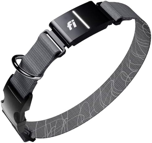 Fi New Series 3+ Smart Dog Tracker Collar [12 Month Membership Included] GPS Tracker for Dogs with Health &…
