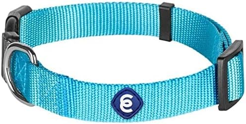 Blueberry Pet Essentials Adjustable Dog Collar in Turquoise | Dog Collars for Medium & Large Dogs | Eco-Friendly Nylon for Boy &…