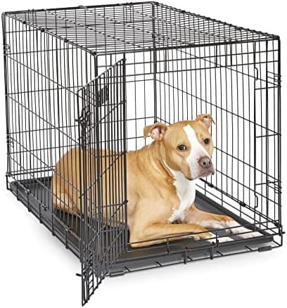 MidWest Homes for Pets 36-Inch iCrate for Medium-Large Breeds, 41-70 lbs, Single Door Folding Dog Crate with Divider Panel…