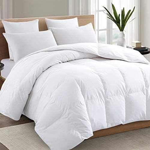 TEXARTIST Premium 2100 Series Queen Comforter All Season Breathable White Comforter Soft 4D Spiral Fiber…